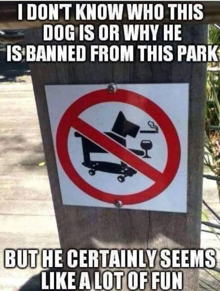why dog banned p.jpg